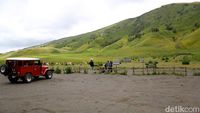 Nikmati Hijaunya Padang Savana Di Bukit Teletubbies Bromo