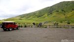 Nikmati Hijaunya Padang Savana di Bukit Teletubbies Bromo