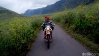 Selain jeep, kita juga bisa menyewa sepeda motor trail untuk menjelajah ke padang savana ini loh. Seperti kedua wisatawan ini yang asyik menikmati hamparan rumput hijau dengan Trail yang mereka sewa.