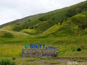 Mau Liburan ke Gunung Bromo? Ini Musim Terbaiknya