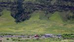 Nikmati Hijaunya Padang Savana di Bukit Teletubbies Bromo