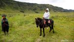 Nikmati Hijaunya Padang Savana di Bukit Teletubbies Bromo