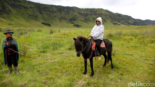 Bila ingin merasakan sesuatu yang berbeda dan penuh kesan, ada persewaan kuda juga loh yang bisa membawa anda berkeliling sepanjang savana bukit teletubbies ini.
