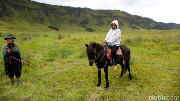 Bila ingin merasakan sesuatu yang berbeda dan penuh kesan, ada persewaan kuda juga loh yang bisa membawa anda berkeliling sepanjang savana bukit teletubbies ini. Bila ingin merasakan sesuatu yang berbeda dan penuh kesan, ada persewaan kuda juga loh yang bisa membawa anda berkeliling sepanjang savana bukit teletubbies ini.