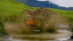 Nikmati Hijaunya Padang Savana di Bukit Teletubbies Bromo