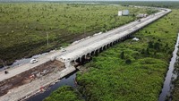 Foto udara kendaraan melintas di sebelah proyek pembangunan jembatan layang (pile slab) di Jalan Trans Kalimantan Bukit Rawi, Pulang Pisau, Kalimantan Tengah, Selasa (4/1/2022).