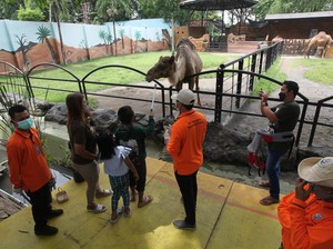 Liburan ke Kebun Binatang Surabaya? Ketahui 6 Hal Berikut!
