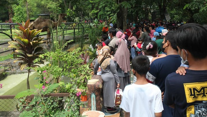 Pengunjung Kebun Binatang Surabaya (KBS) saat Liburan Tahun Baru 2022