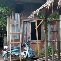 Rumah yang satu ini memiliki desain unik dan tidak biasa. Dari luarnya terlihat seperti rumah gubuk yang usai, namun bagian dalamnya justru bisa membuat melongo. Foto: Instagram/@video_medsos