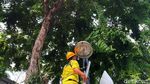 Perawatan Lampu Penerangan Jalan