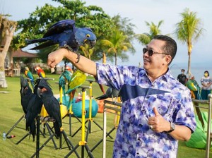 Lomba Free Fly Burung Paruh Bengkok Piala Ketua MPR Akan Digelar Maret