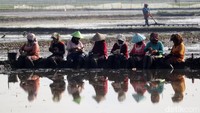 Disela pekerjaannya, para petani di Solokanjeruk dan Bojongsoang, Kabupaten Bandung, melakukan makan bersama atau dalam bahasa Sunda Botram.