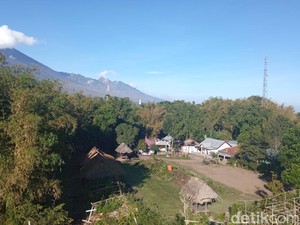 Unik! Di Desa Ini, Ngepel Lantai Rumah Pakai Kotoran Sapi