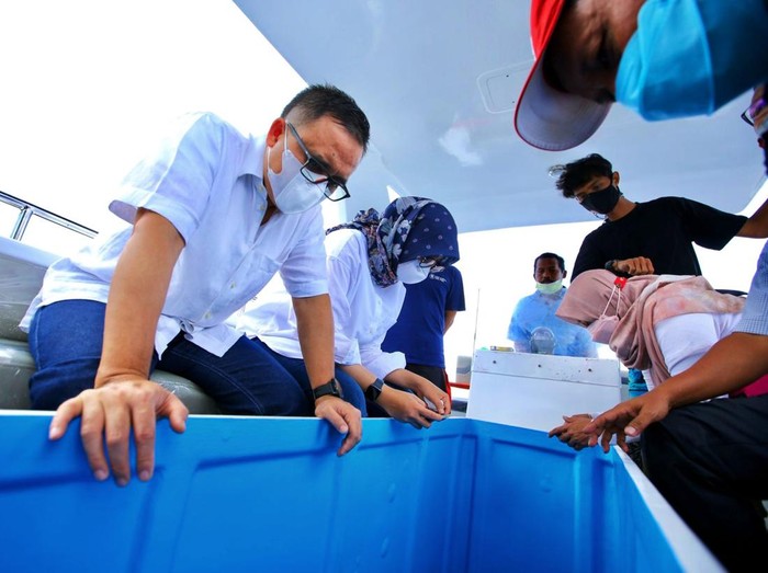 Grand Watu Dodol (GWD) Banyuwangi akan operasikan kapal wisata glass bottom, pengunjung bisa melihat indahnya taman terumbu karang dari atas kapal.
