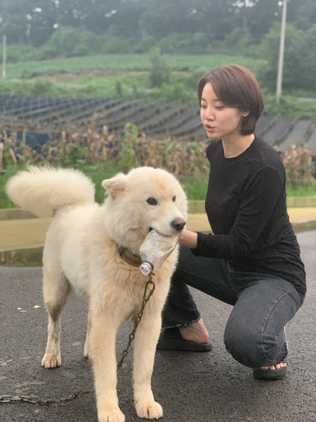 Sebelum membintangi Snowdrop, Kim Mi Soo dikenal dengan perannya dalam sejumlah drama Korea seperti Hi Bye Mama, The School Nurse Files, Yumi’s Cells, dan terbaru Hellbound. Foto: dok. Instagram landscape_ent