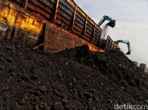 Penjualan Batu Bara Bukit Asam Tembus 42,9 Juta Ton, Tembus Rekor
