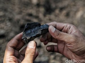 Target Produksi Batu Bara PTBA 36,41 Juta Ton, 25% buat Dalam Negeri