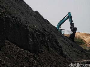 Harga Batu Bara Meroket ke US$ 188/Ton, Ini Biang Keroknya