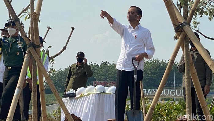 Disela peresmian Bendungan Randugunting, Blora, Jawa Tengah, Presiden Jokowi bersama Gubernur Jateng Ganjar terlihat menanam pohon jati.