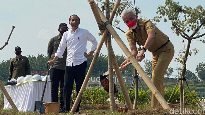 Momen Jokowi dan Ganjar Tanam Pohon di Bendungan Randugunting Disela peresmian Bendungan Randugunting, Blora, Jawa Tengah, Presiden Jokowi bersama Gubernur Jateng Ganjar terlihat menanam pohon jati.