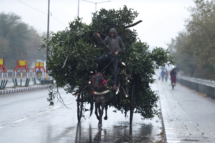 A girl, who works as rag picker, pedals a cycle load carrier through a market amid restrictions imposed due to rising numbers of COVID-19 cases, on New Year's Eve in New Delhi, India, Friday, Dec. 31, 2021. (AP Photo/Altaf Qadri)