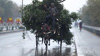 Seorang pria dengan kudanya membawa setumpuk rumput di bawah guyuran air hujan di Jammu, India (4/2/2022).  ( AP Photo/Channi Anand)