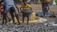 Anak kecil membantu menjemur ikan asin di Mumbai, India (29/12).  (AP Photo/Rafiq Maqbool)