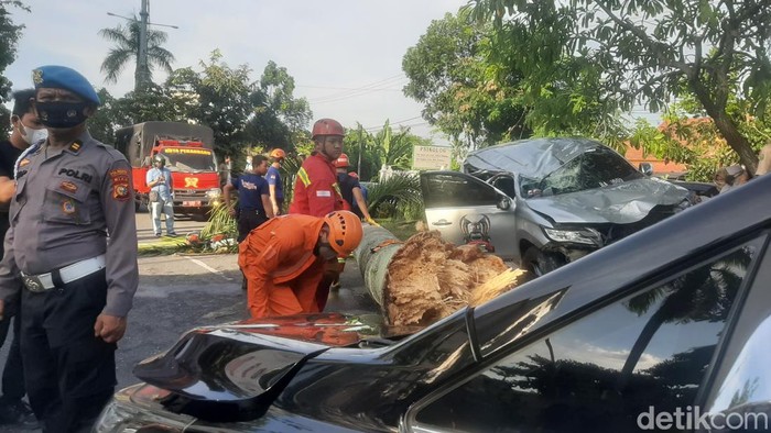 Pajero di Pekanbaru Tabrak Pohon Palem hingga Roboh Mobil Pajero di Pekanbaru hilang kendali dan langsung menghantam pohon palem hingga roboh. Ini foto-fotonya!