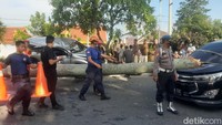 Pohon yang ditabrak itu juga menimpa mobil lain dari arah yang berlawanan.