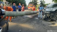 Tidak ada korban jiwa dalam kejadian itu. Polisi menduga mobil Pajero Sport melaju kencang sebelum akhirnya hilang kendali naik pembatas jalan dan menghantam pohon.