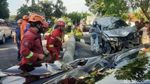 Pajero di Pekanbaru Tabrak Pohon Palem hingga Roboh
