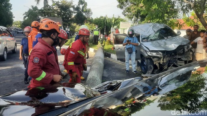 Mobil Pajero di Pekanbaru hilang kendali dan langsung menghantam pohon palem hingga roboh. Ini foto-fotonya!