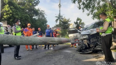 Pajero di Pekanbaru Tabrak Pohon Palem hingga Roboh