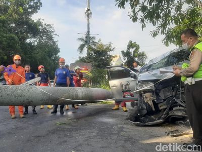 Pajero di Pekanbaru Tabrak Pohon Palem hingga Roboh