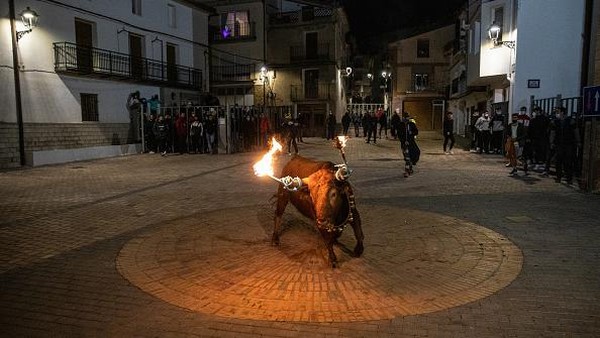 Bola api ditempatkan di tanduk banteng dalam festival adu banteng tradisional di Villanueva de Viver, Castellon, Spanyol.  