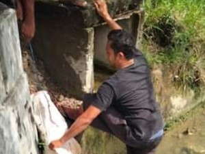 Terungkap! Ikan Jumbo di Lhokseumawe Dibuang Pemiliknya karena Mati