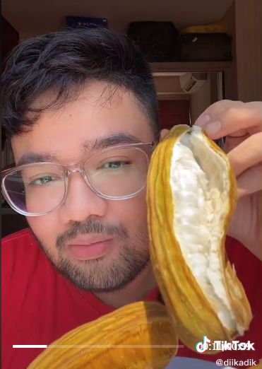 Buah Salju yang Viral di TikToka