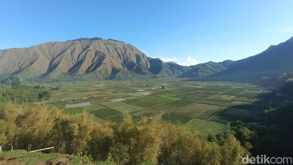 Anggun Sembalun di Kaki Gunung Rinjani Anggun Sembalun di Kaki Gunung Rinjani
