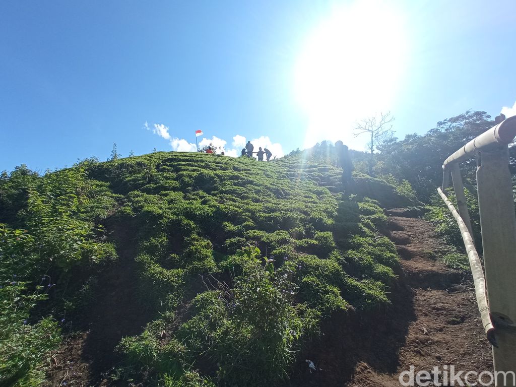 Bukit Selong di Sembalun