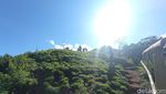 Foto: Bukit Selong, Perbukitan Instagrammable di Sembalun