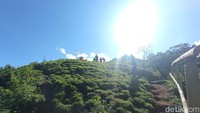 Jalan naiknya cukup curam, namun ada pahatan tangga dan pegangan bambu untuk wisatawan. (Bonauli/detikcom)