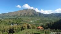 Sampai di atas bukit, Bukit Pergasingan dan petakan sawah menjadi suguhan utama dari Bukit Selong. (Bonauli/detikcom)