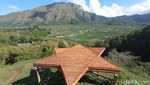Foto: Bukit Selong, Perbukitan Instagrammable di Sembalun
