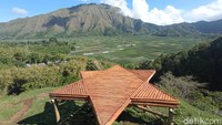 Ini salah satu spot instagenik di Bukit Selong. (Bonauli/detikcom)