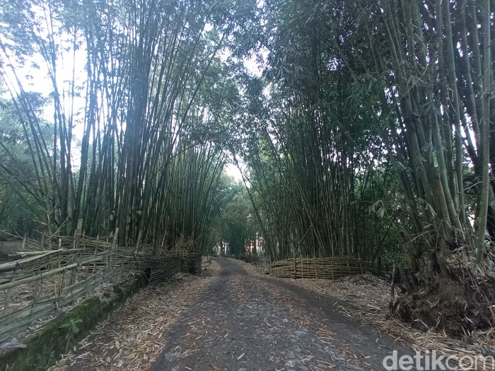 Bukit Selong di Sembalun Bukit Selong di Sembalun
