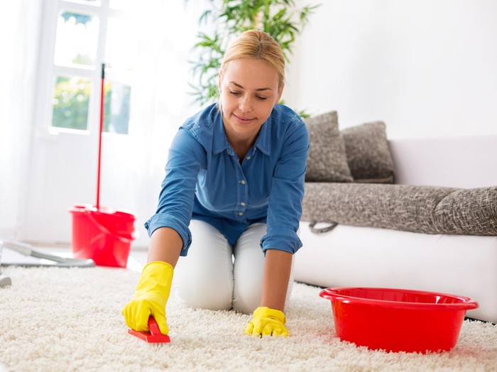 Attractive housewife cleaning carpet with brush and doing housework