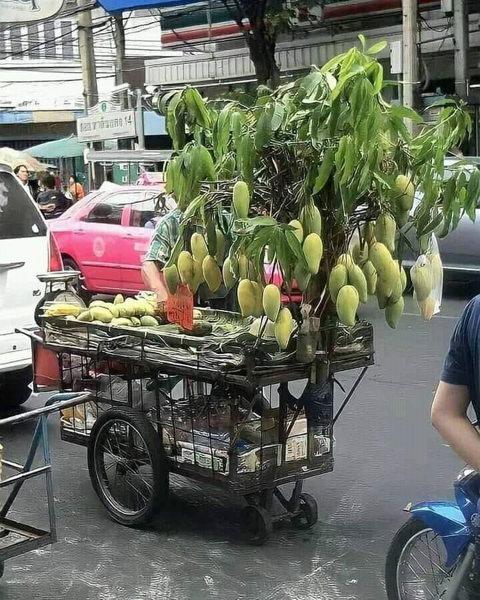 Pedagang canggih