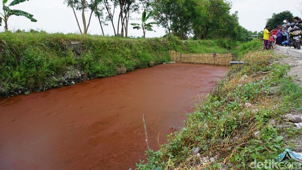 Air Merah Darah Di Sungai Mojokerto Sudah Terjadi Sejak 3 Hari