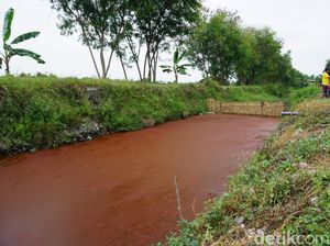 Fenomena Air Sungai di Mojokerto Berwarna Merah Darah