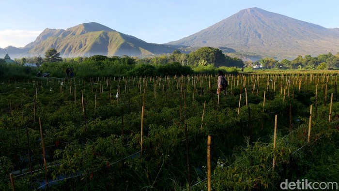 360 Spot Foto dan Menikmati Sunrise di Sembalun